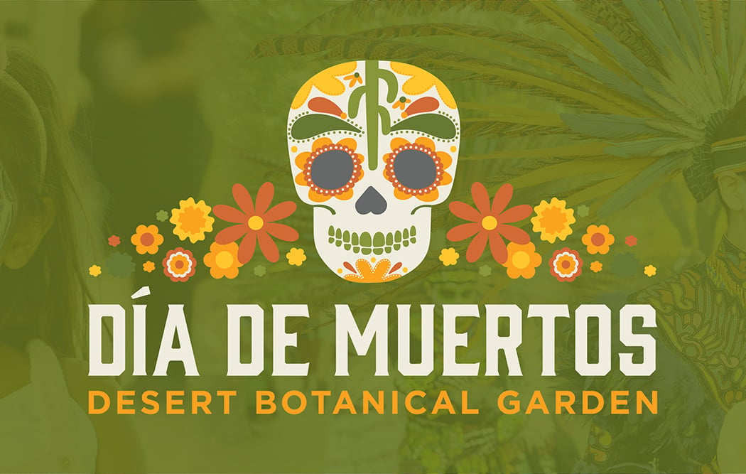 Dia de Muertos Festival 3