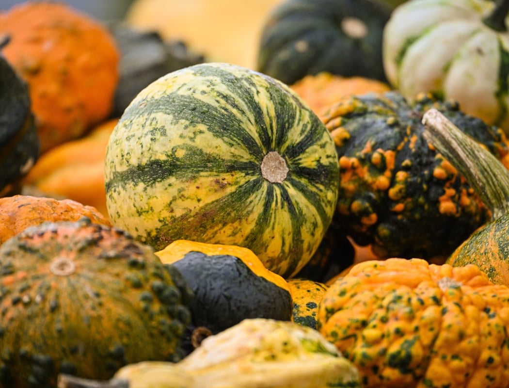 Fall-O-Ween