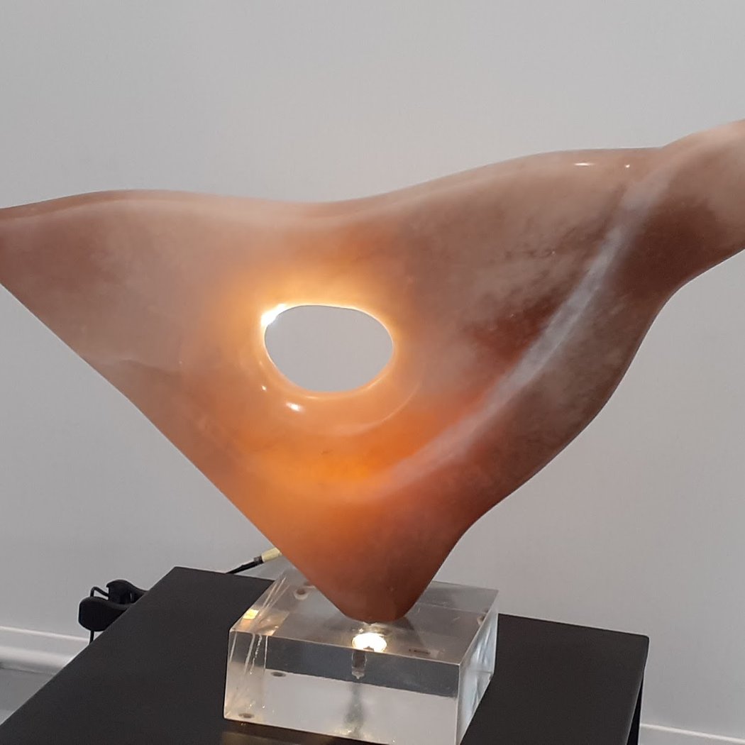 Visite guidée de l'exposition d'art contemporain 'Mondes intérieurs' 1