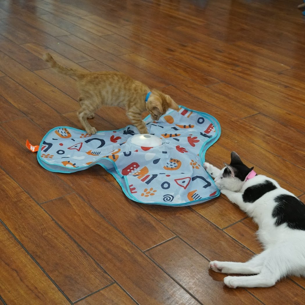 Mini Cat Town 2