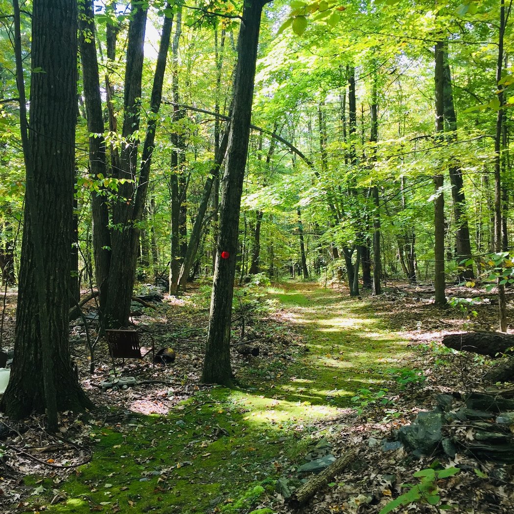 Rheinstrom Hill Audubon Center and Sanctuary 1