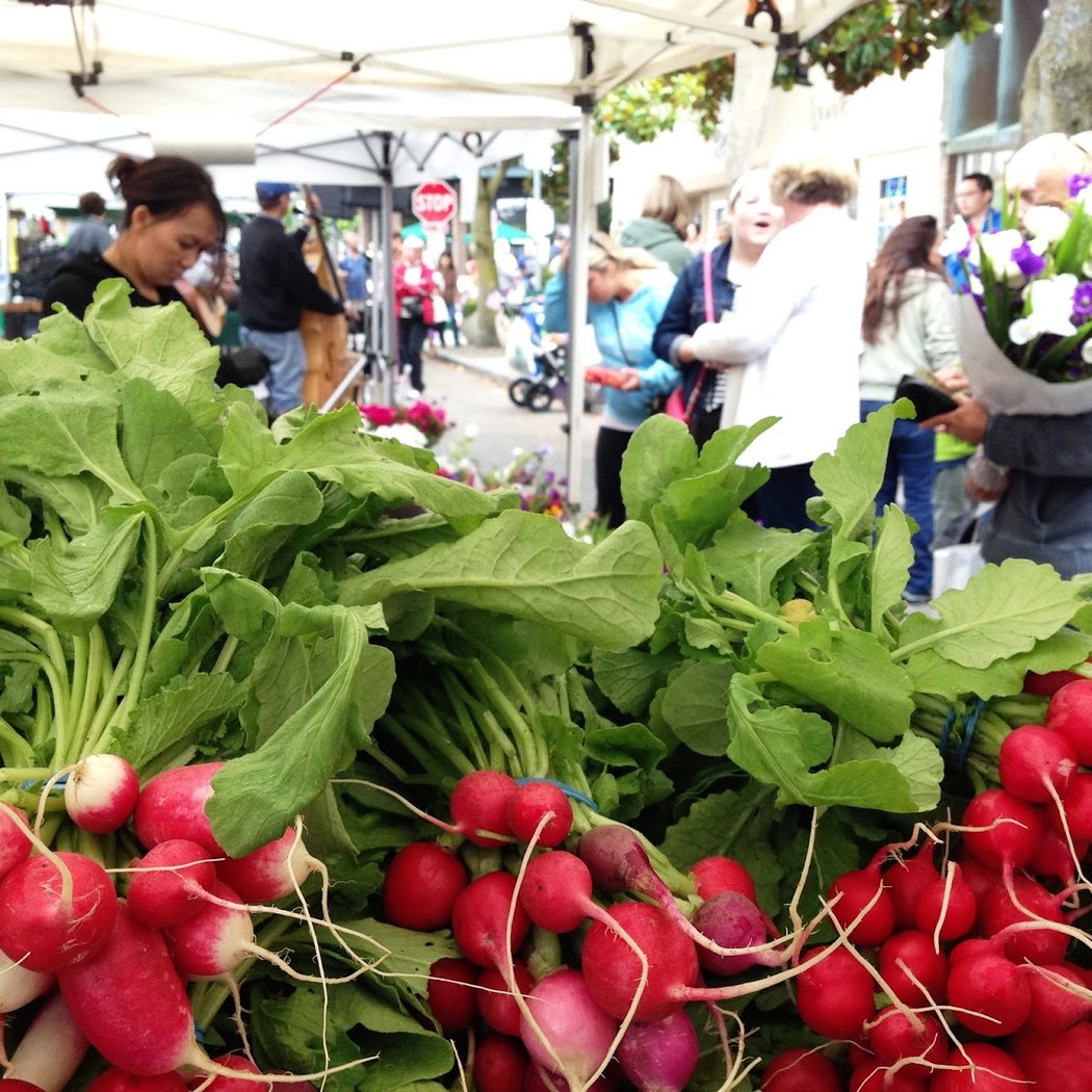 Magnolia Farmers Market
