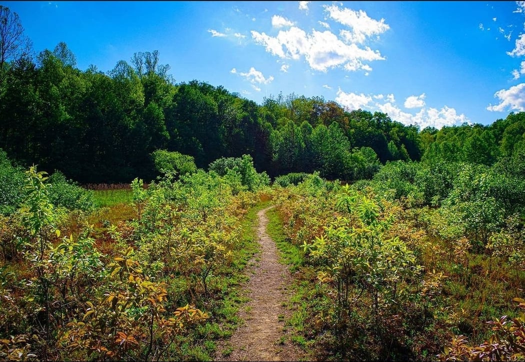 West Virginia Botanic Garden 1