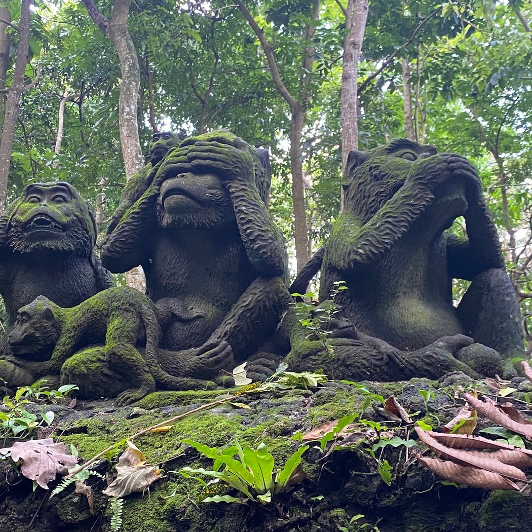 Sacred Monkey Forest Sanctuary 2