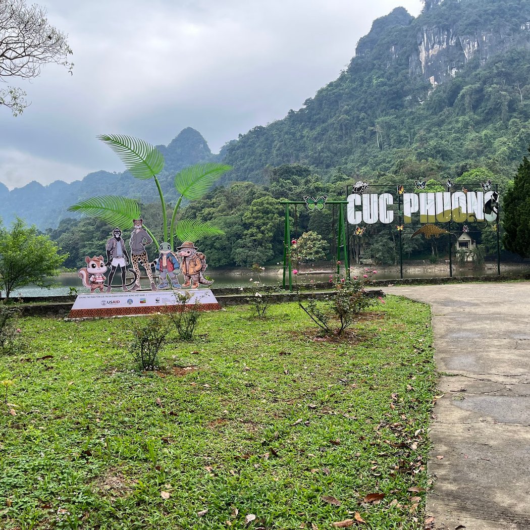 Cuc Phuong Jungle Paths 3