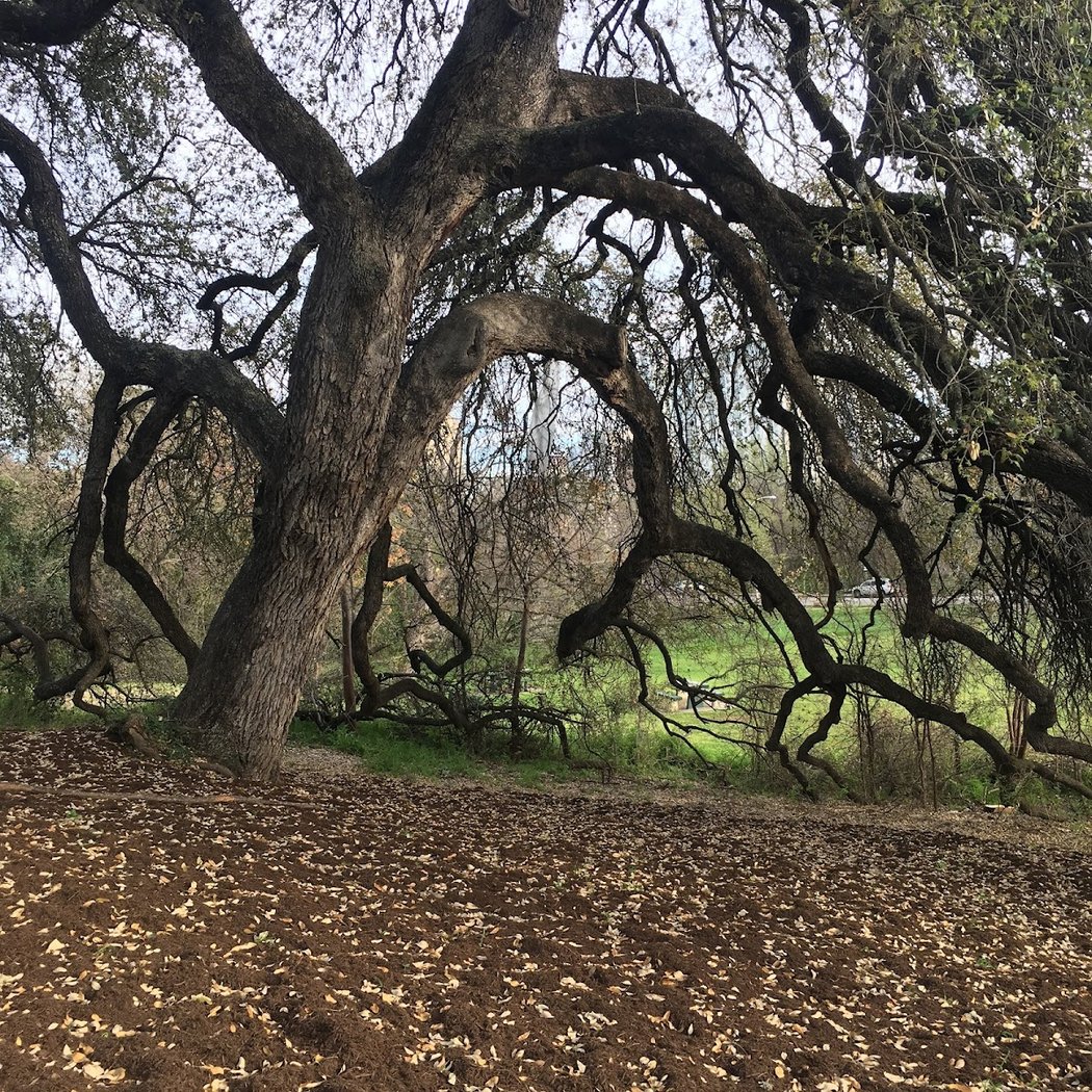 June Volunteer Cleanup 1