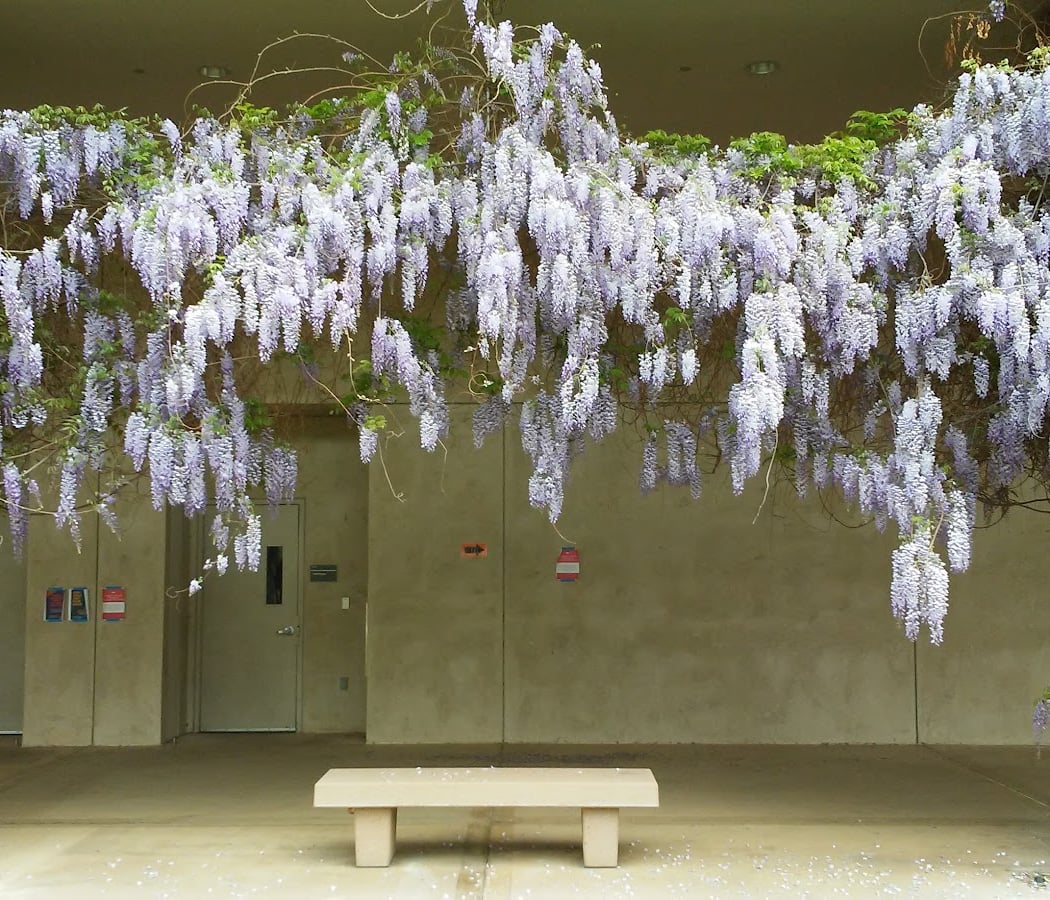 Spectral Choreographies, Imperial Haunting & Reframing Feminicidal Space 1
