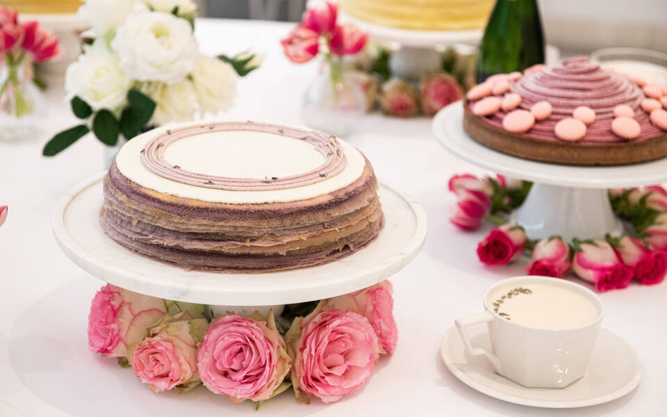Cake Picnic 2