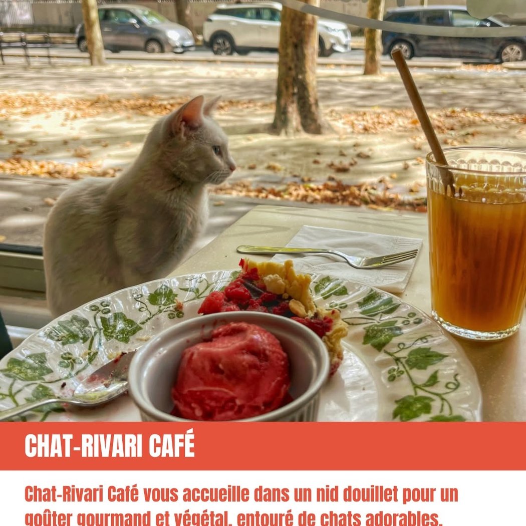 Le Chat-Rivari Café 1