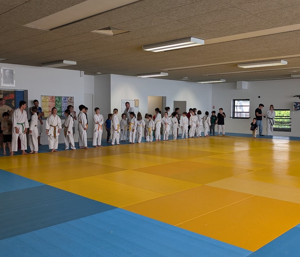Bois-Colombes Sports Judo - Jujitsu 1