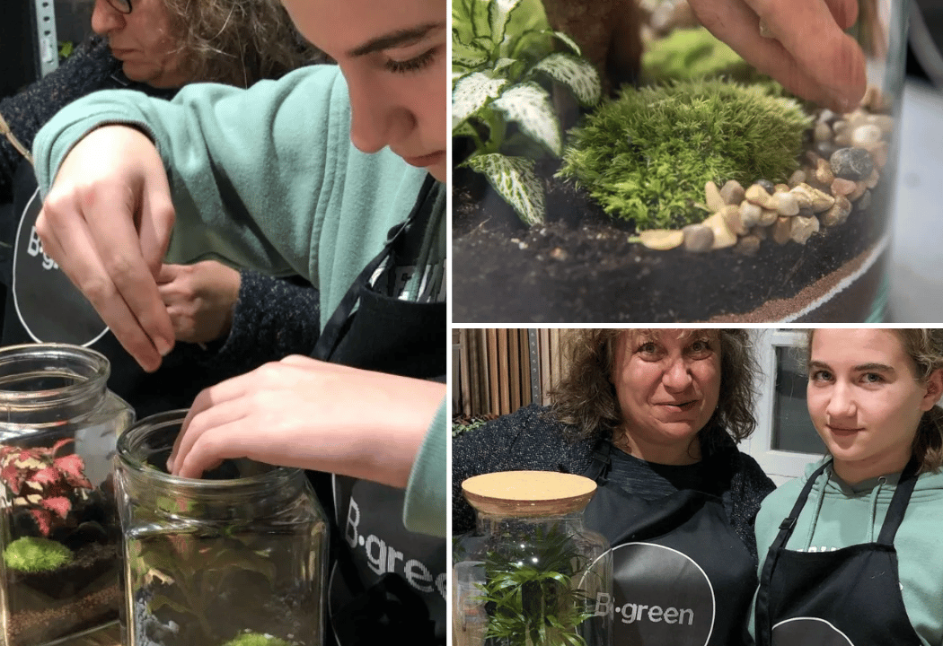 B.GREEN - Artisan Terrarium 2