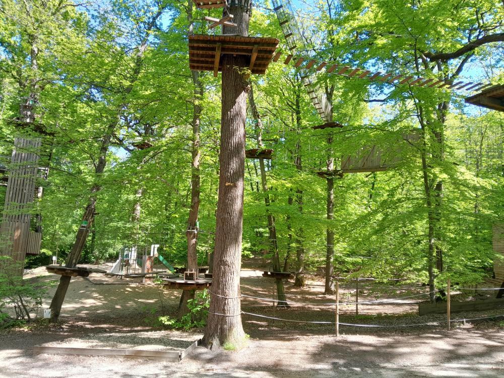 Parc forestier de la Mare Adam 5