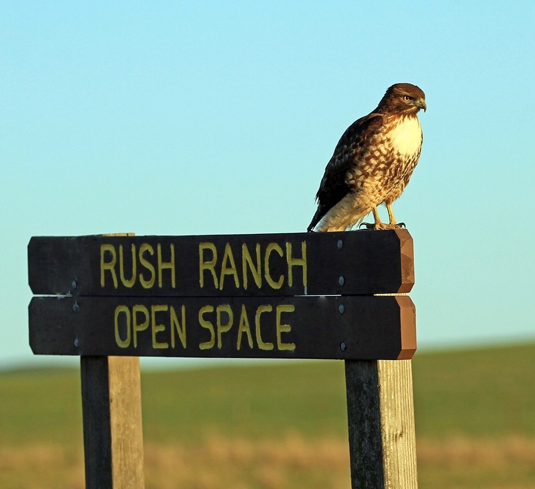Solano Land Trust 1