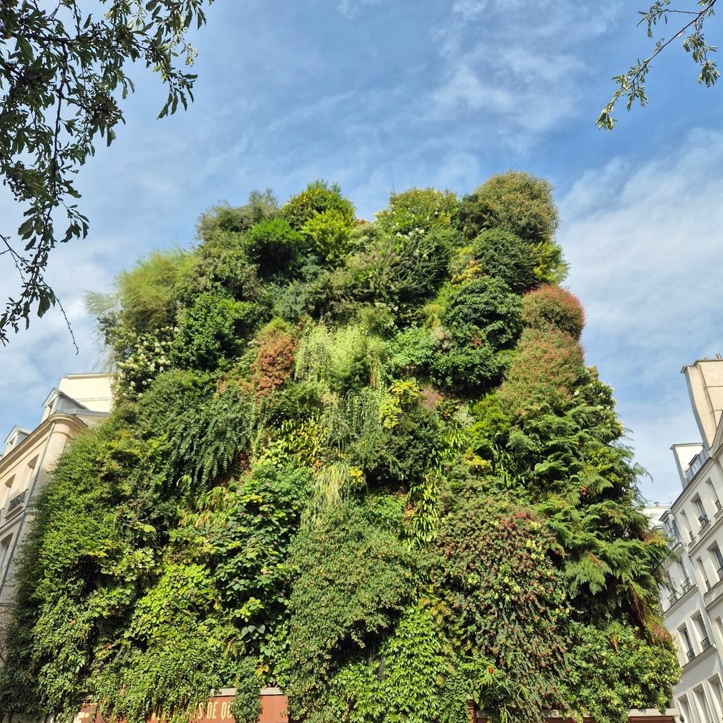 Oasis d'Aboukir 1
