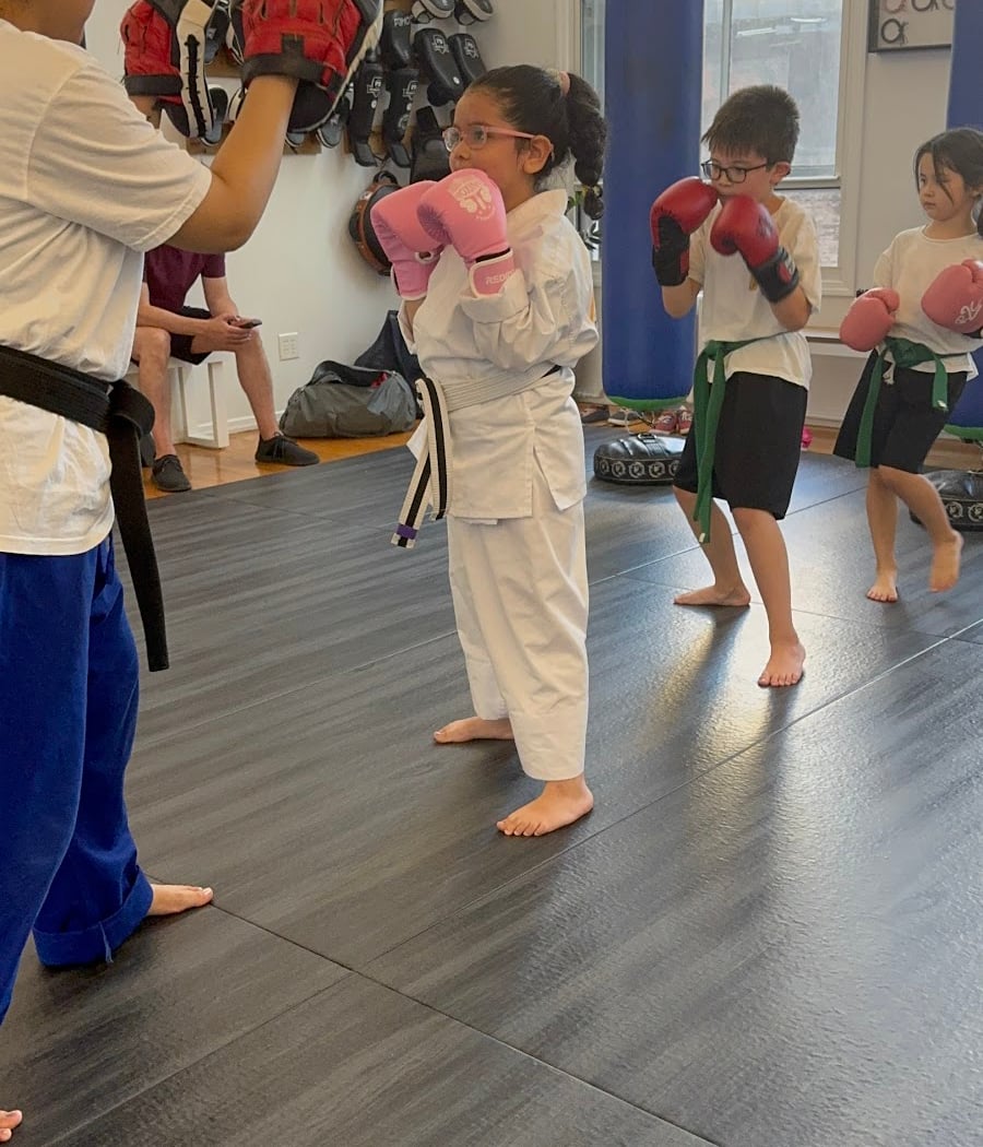 Shinkai Dojo 2