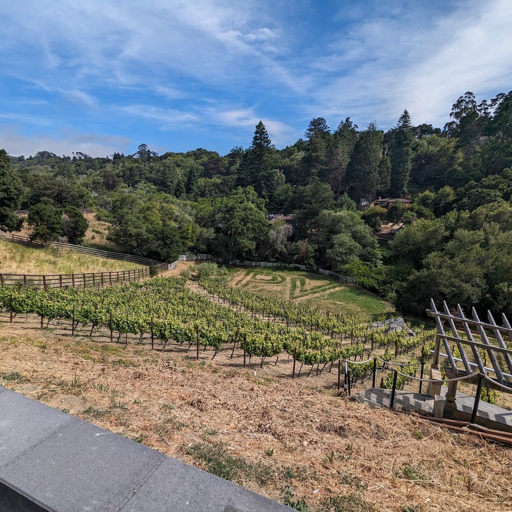Perfusion Vineyard 1