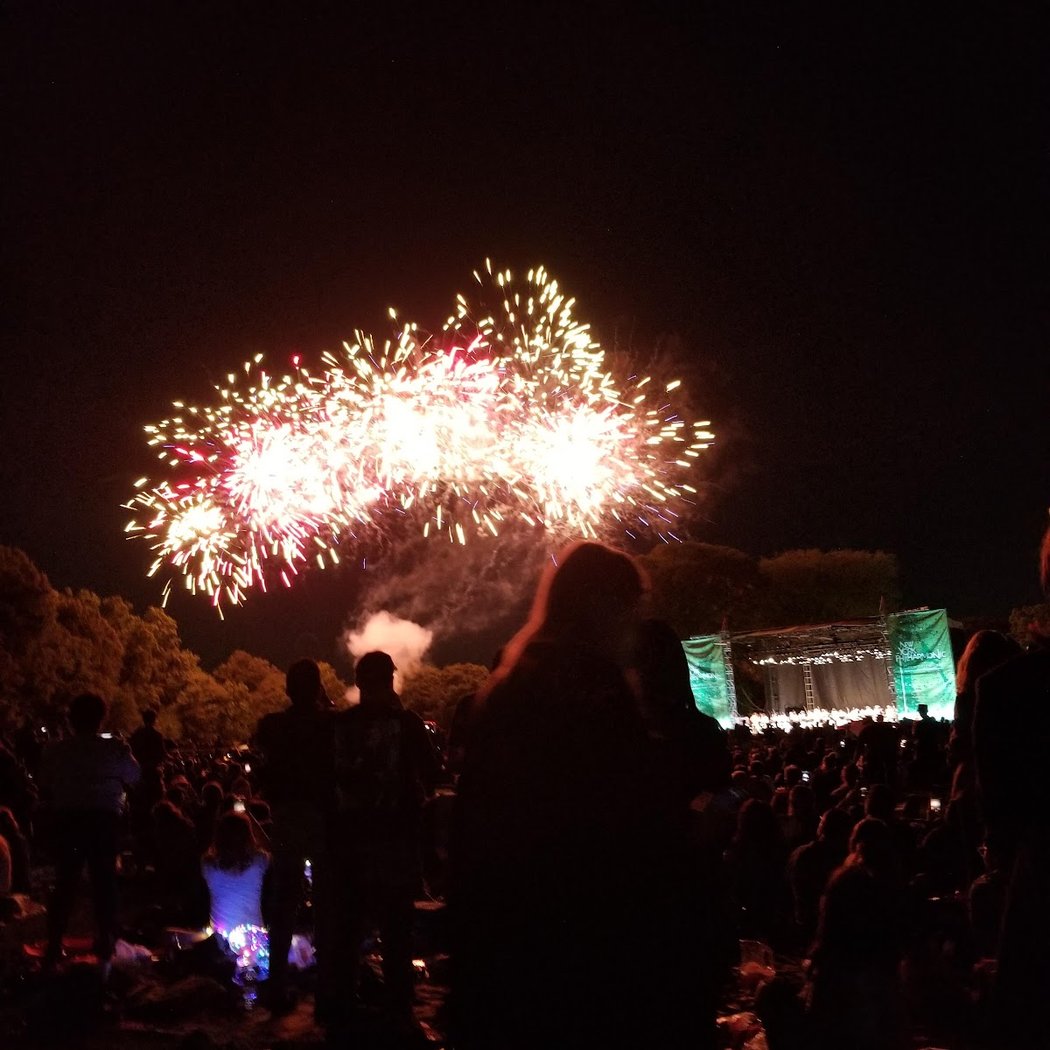 New York Philharmonic Concert in the Park 1