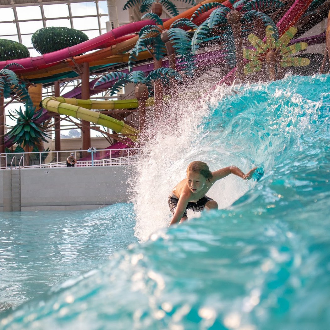 Skudin Surf American Dream 1