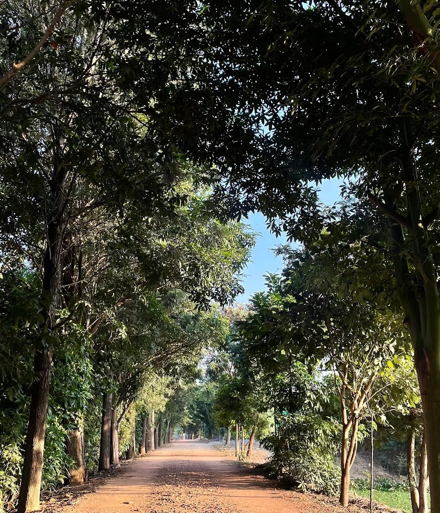 First Sunday Bird Walk 2