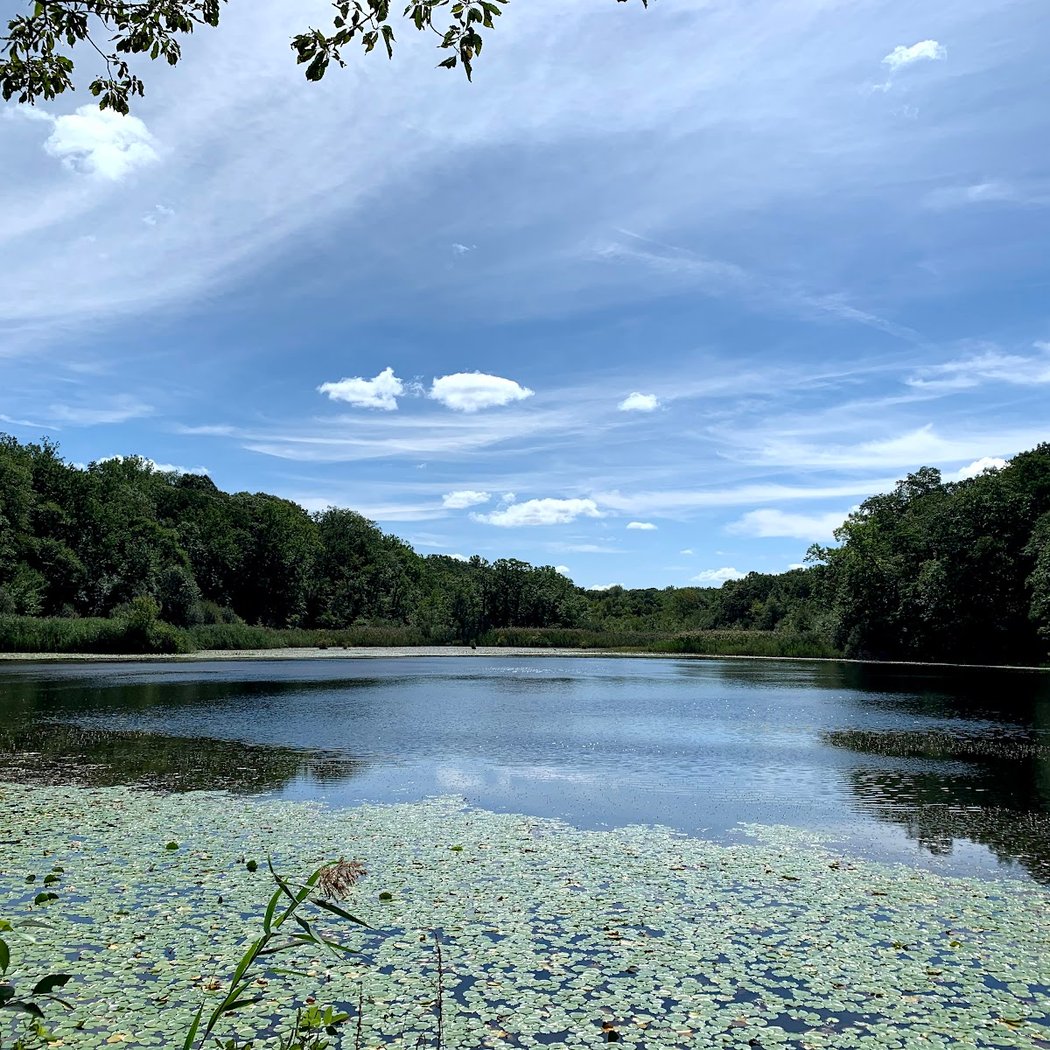 Cranberry Lake Preserve 3