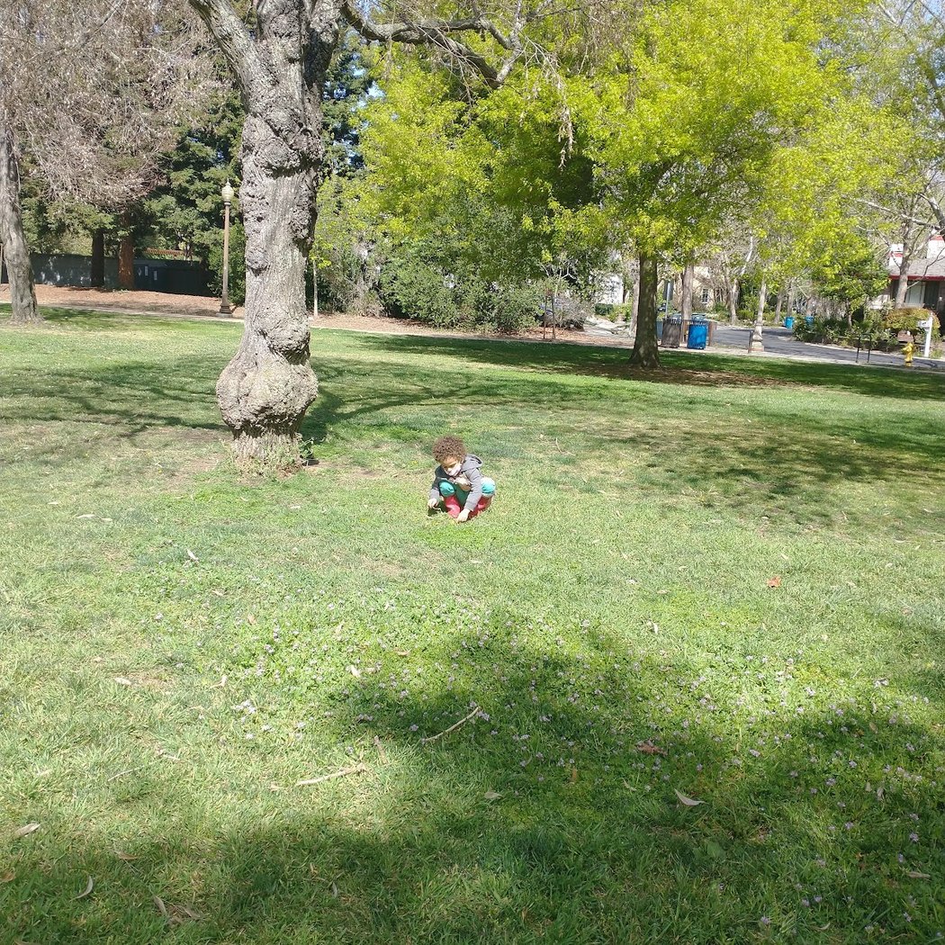 Seminary Oaks Park 2