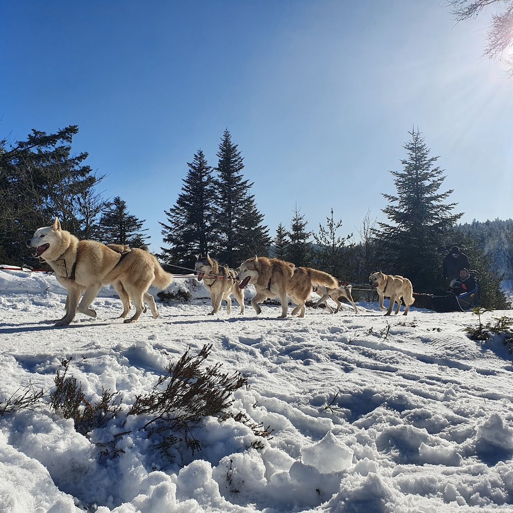 Domaine nordique du haut Forez / Col de la loge 3
