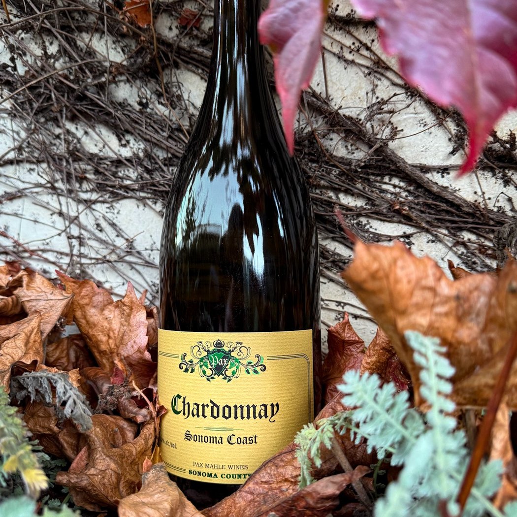 Holiday Magnum Pour: 2022 Chardonnay, Sonoma Coast 1