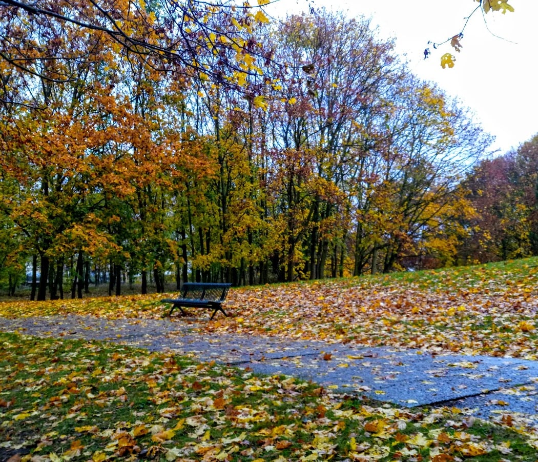 Parc Anne de Kiev 1