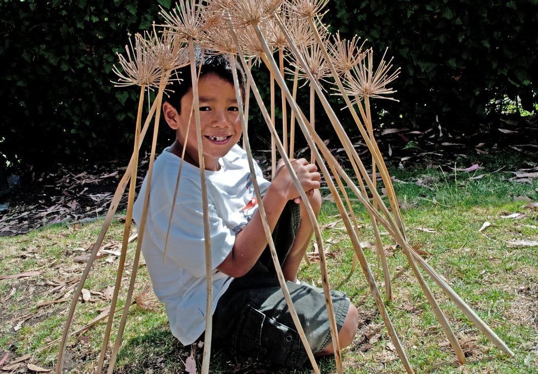 Community Ephemeral Art-making – Agapanthus Project 2025 1