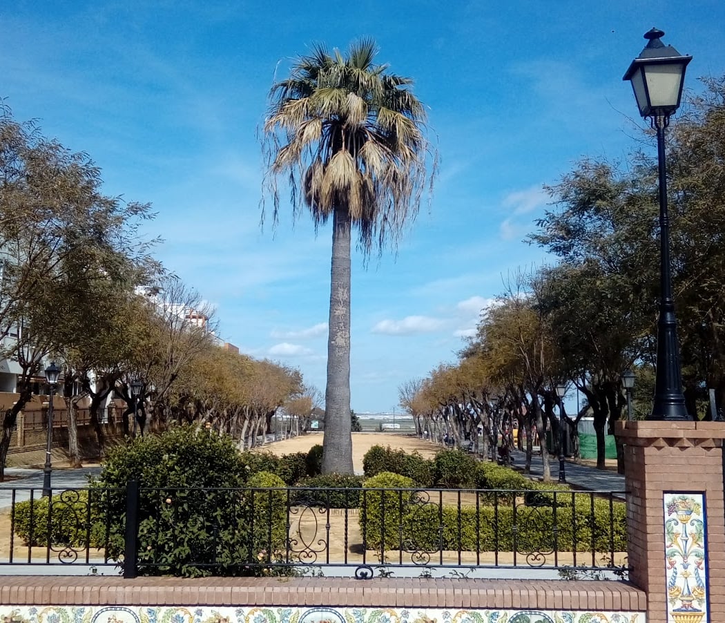Municipal Los Romeros de La Puebla Park 2