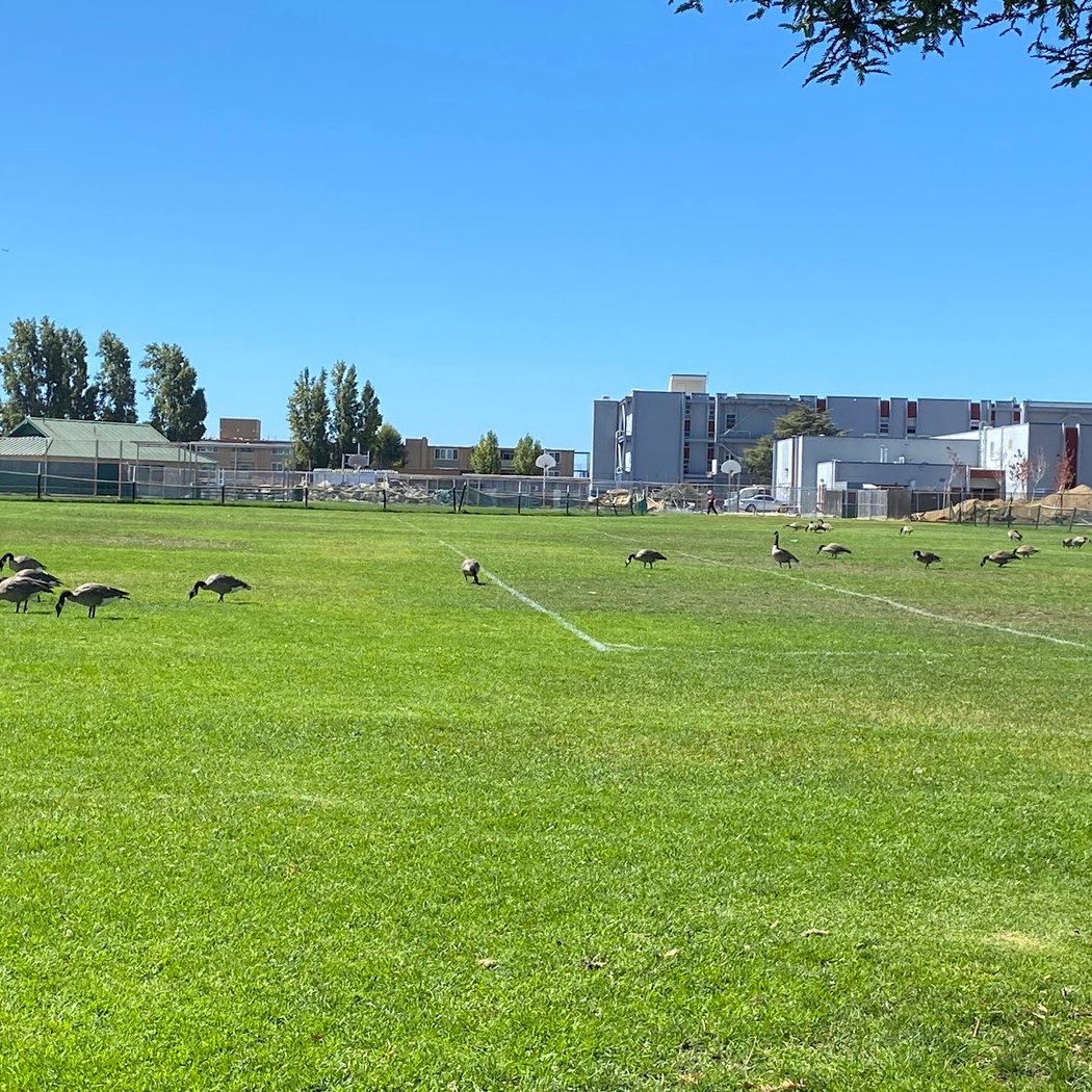 Rittler Park 2