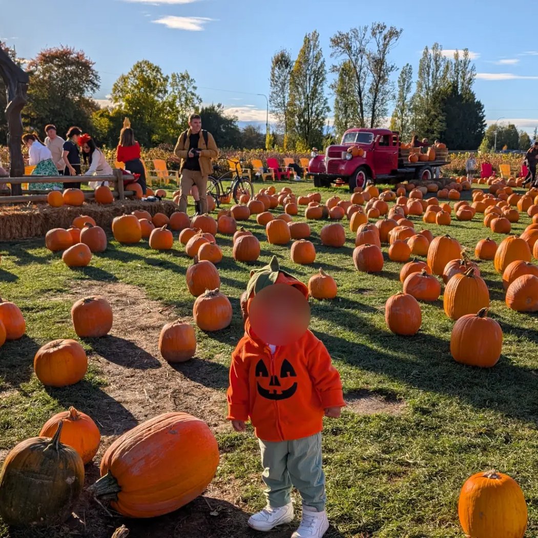 Choctafaula Pumpkin Patch 1