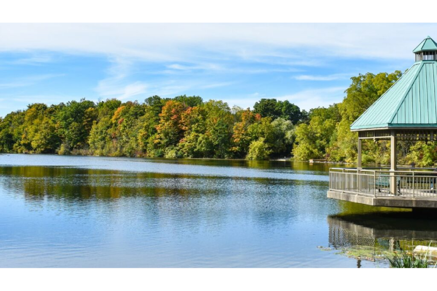 Walking Group around the Mill Pond 1