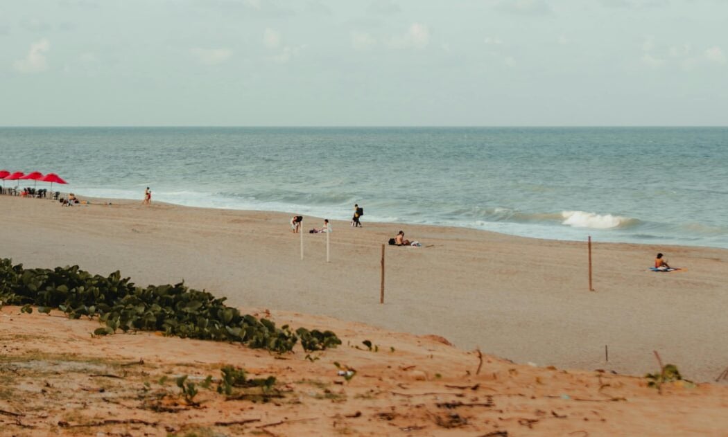 Sortie à la mer 1