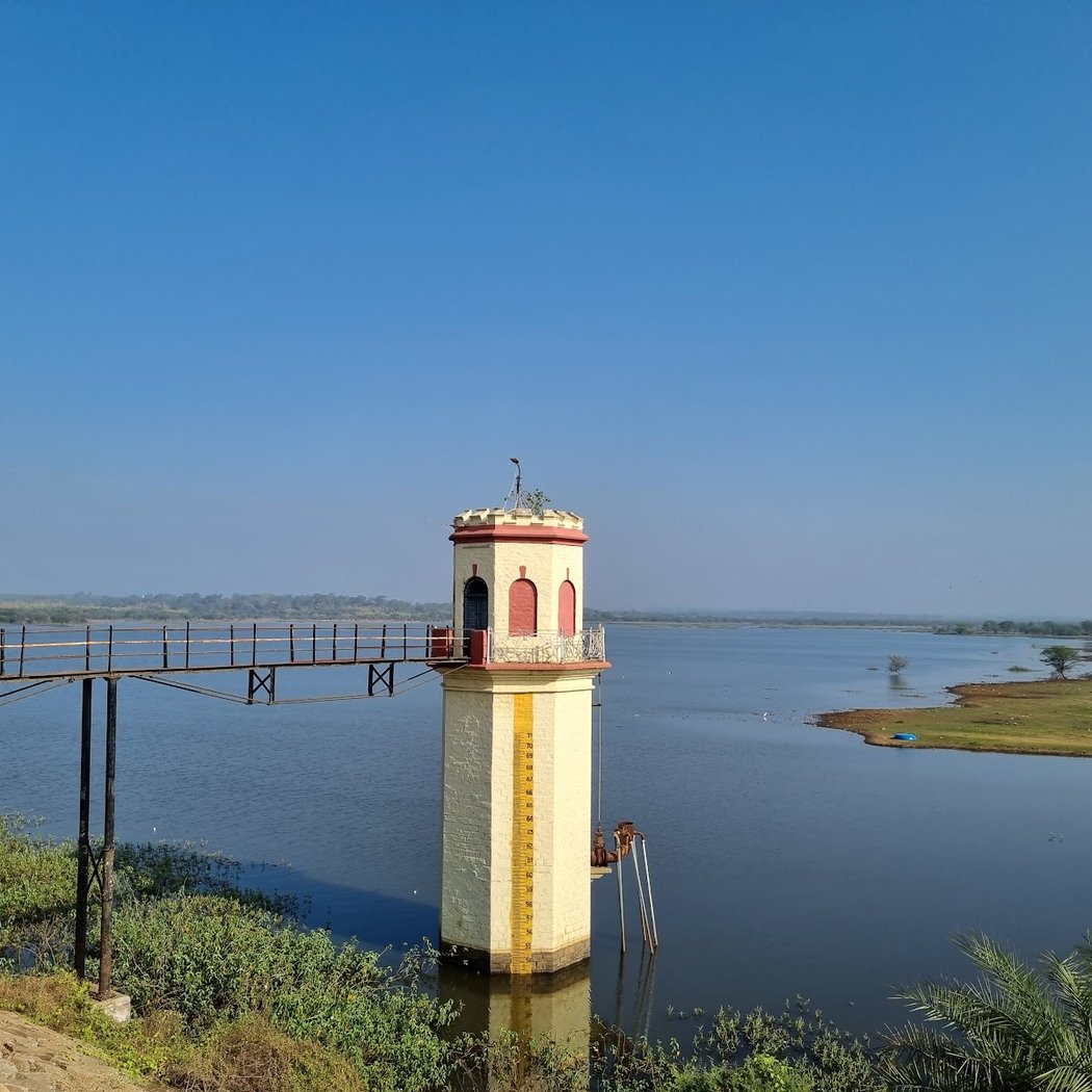 Hesaraghatta Lakebed 1