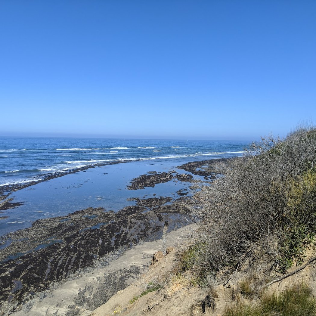 Coastal Walk at Pillar Point Bluff 2