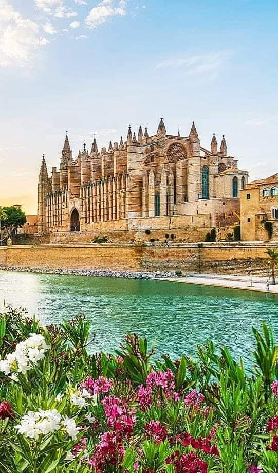 Palma 1