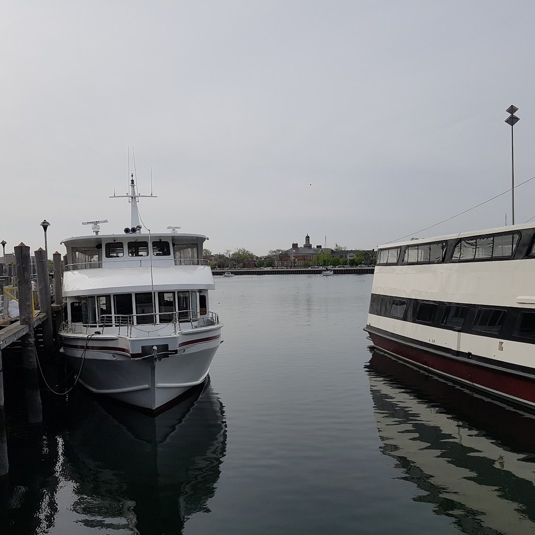 Whale Watching & Dolphin Adventure Cruises 2