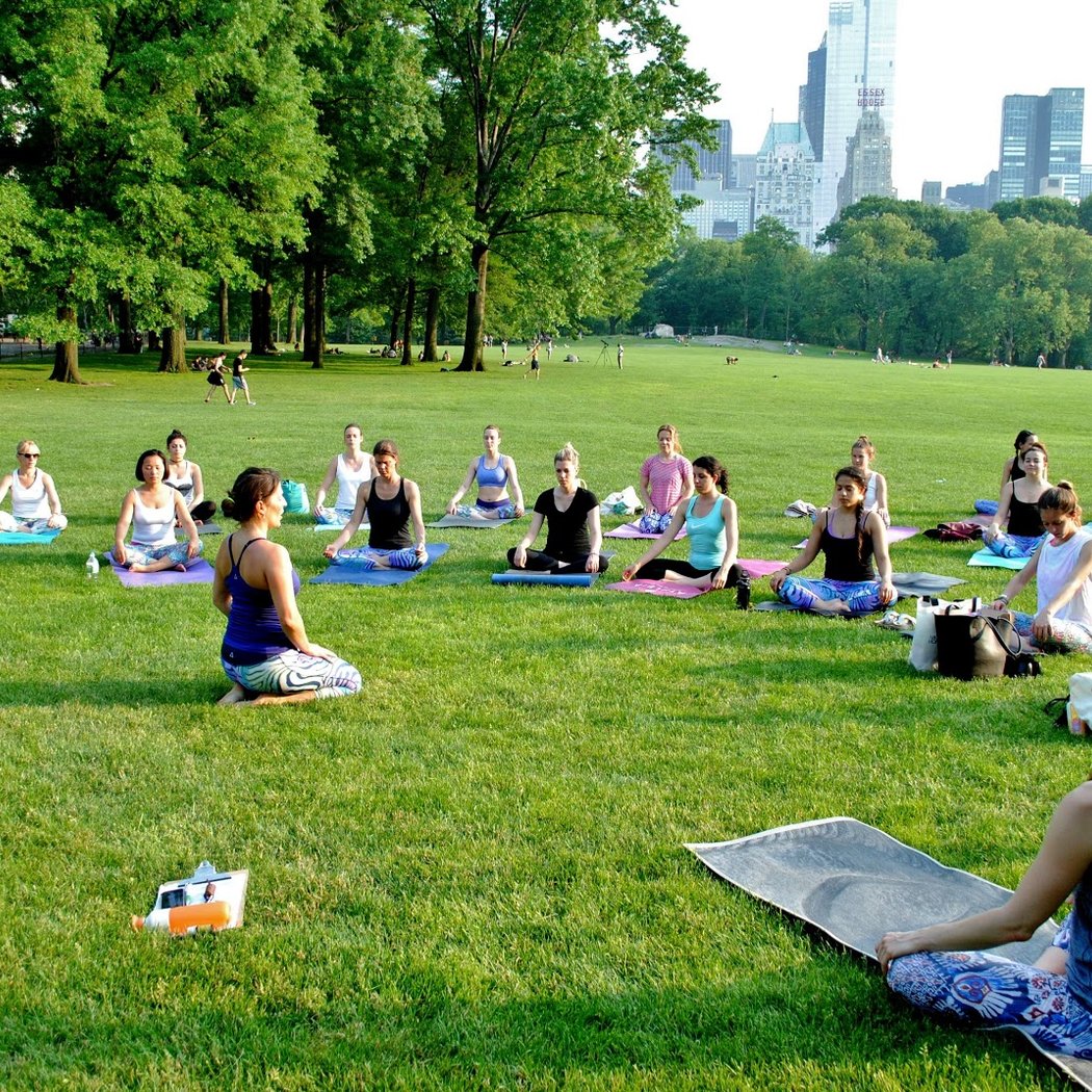 The Yoga Trail 2
