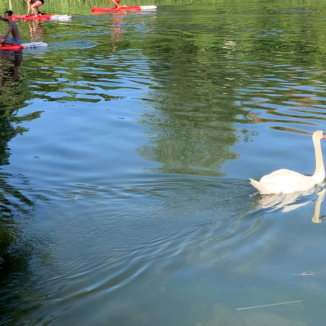 Fête de la Nature 5