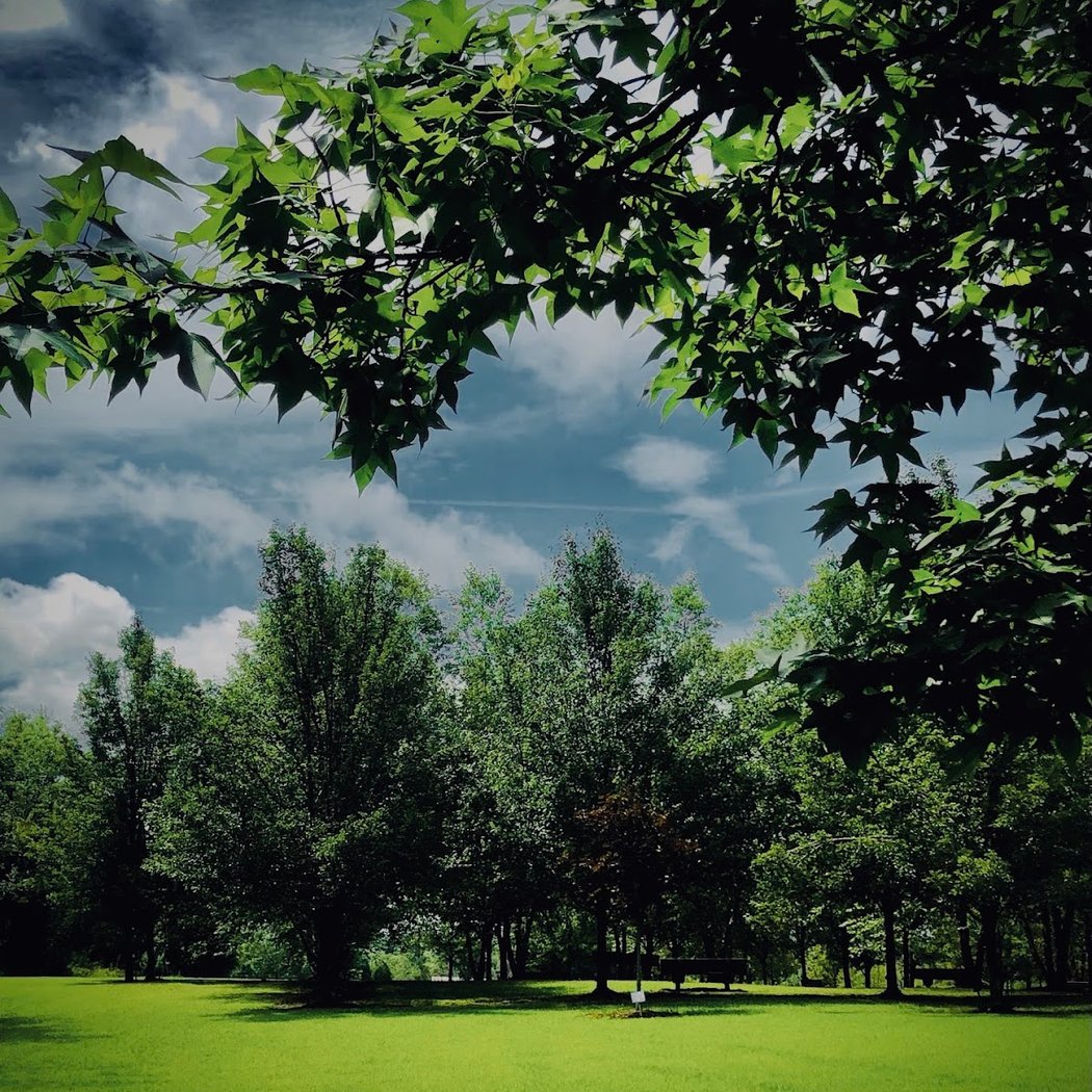Austintown Township Park 2