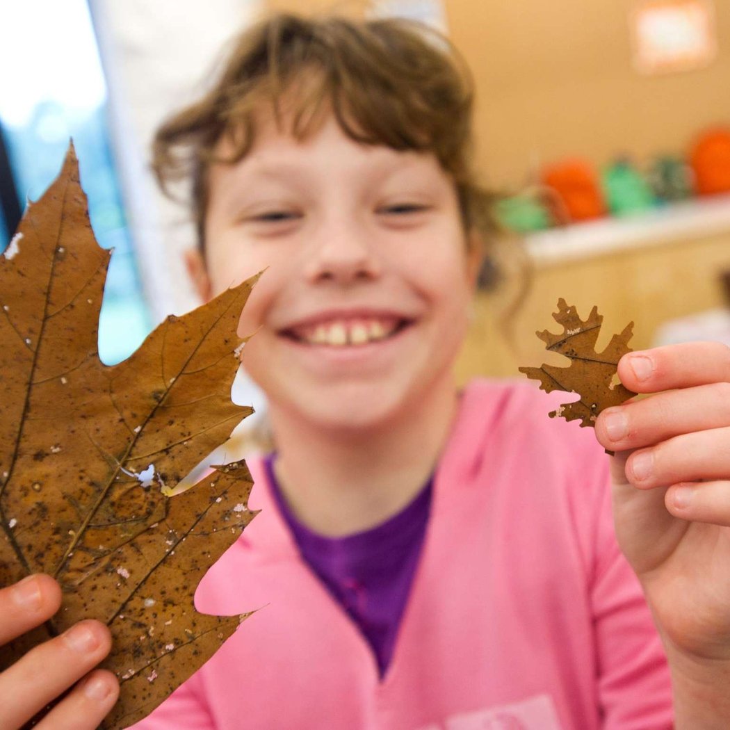 Family Art Project: Leafy Mobiles 2