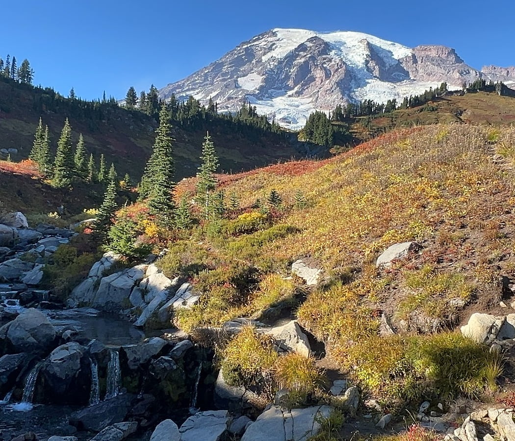 Skyline Trail 3