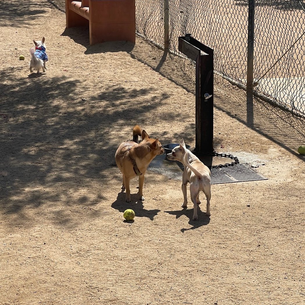 Hermon Dog Park 3