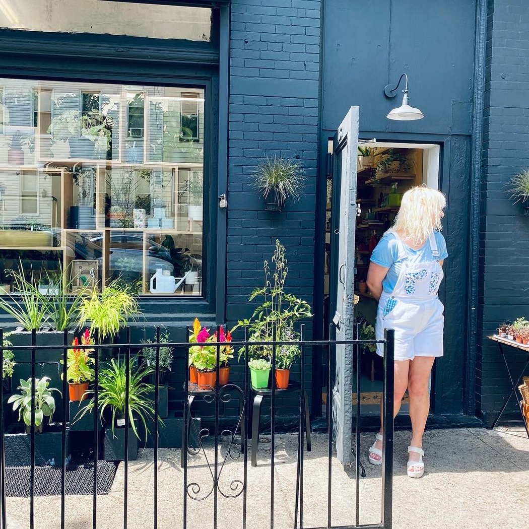 Saint Seneca Store 2