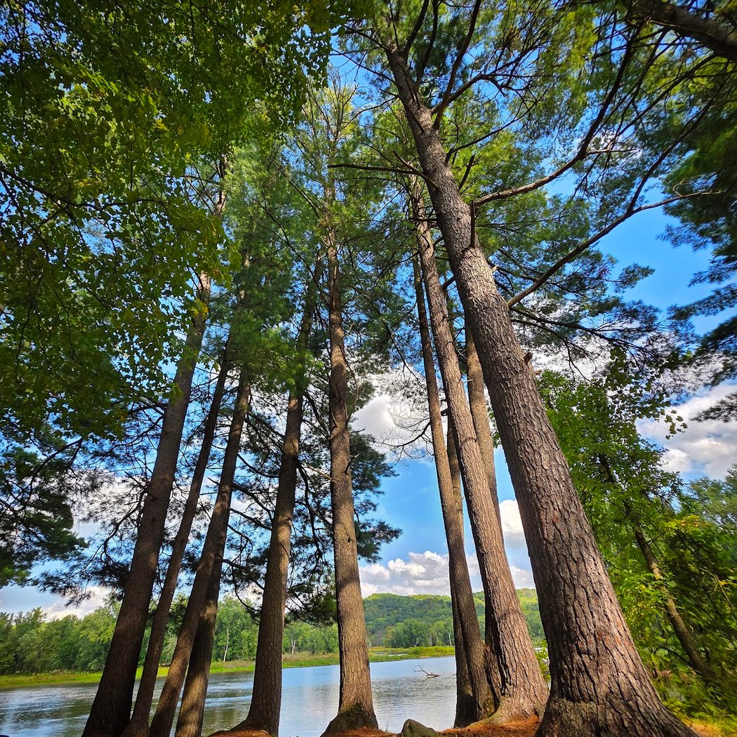William O'Brien State Park 1