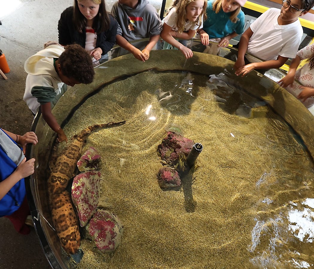 Seymour Marine Discovery Center 1