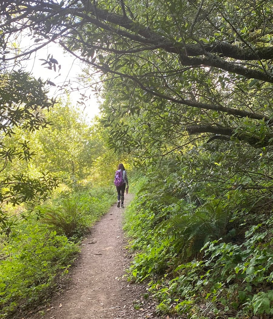 Grizzly Peak Trail 3
