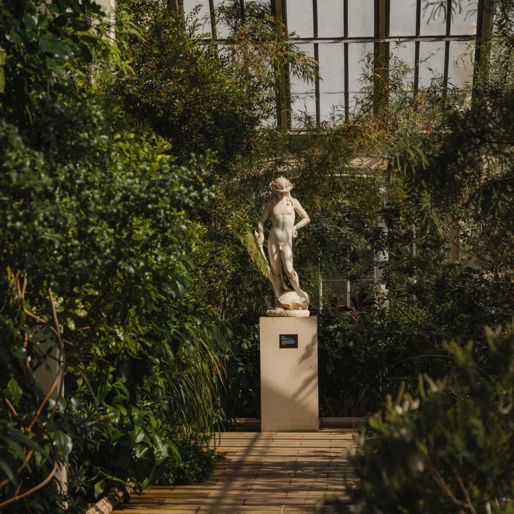 Temperate House 3