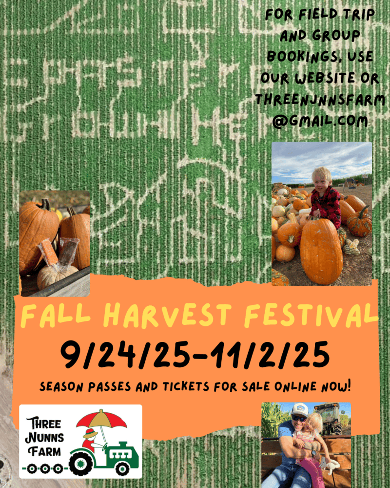 Fall Harvest Festival 1